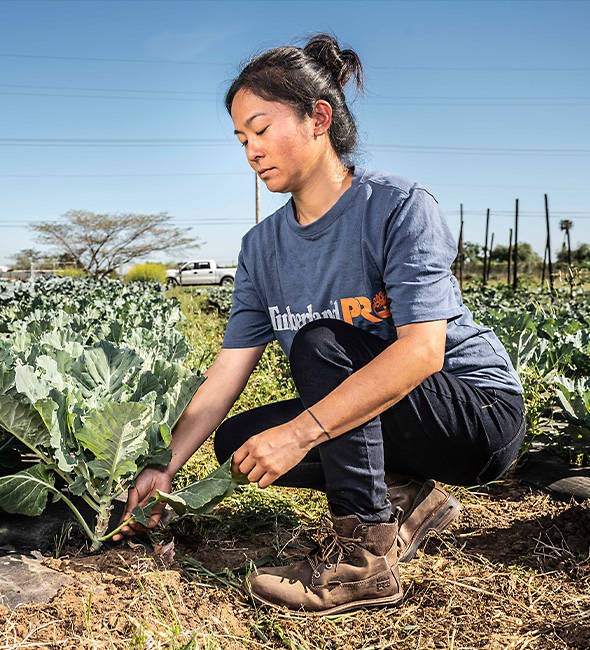 Image of a woman crouched in a field picking vegetables, wearing blue Timberland work clothing and brown work boots.
