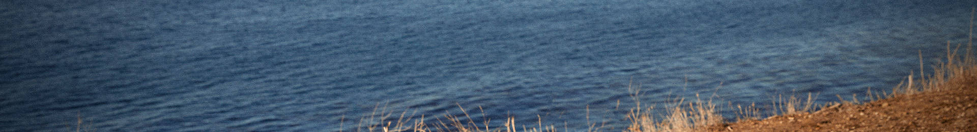 background image shows blue rippling water and grass, with white letters saying long weekend sale