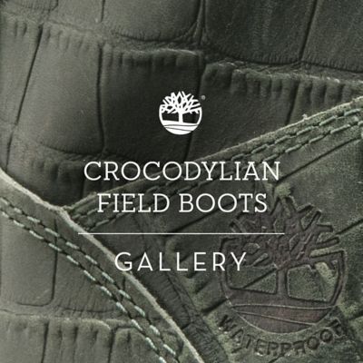 timberland crocodylian