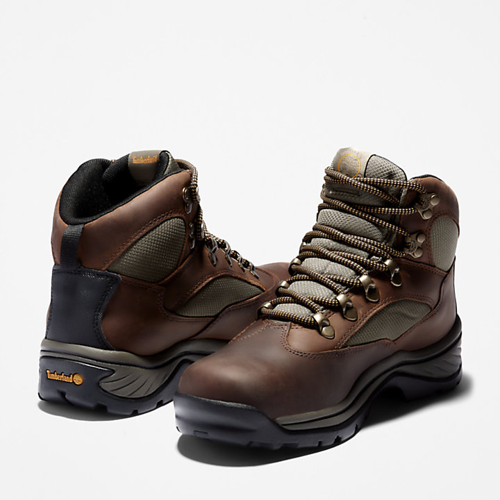 Chocorua Gore-Tex® Hiking Boot voor dames in bruin-