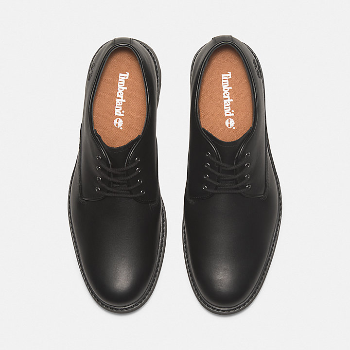 Chaussure Oxford Stormbucks imperméable pour homme en noir