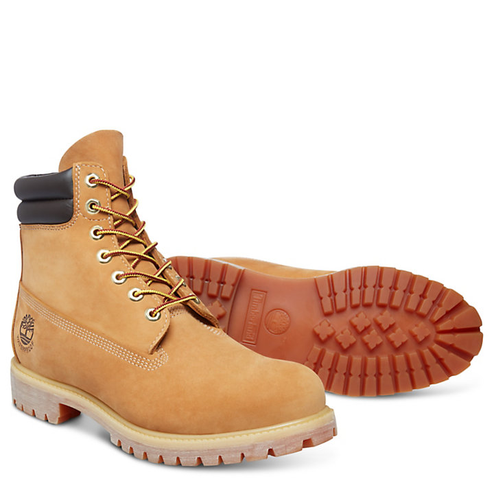 6 Inch Double Collar Boot for Men in Yellow | Timberland