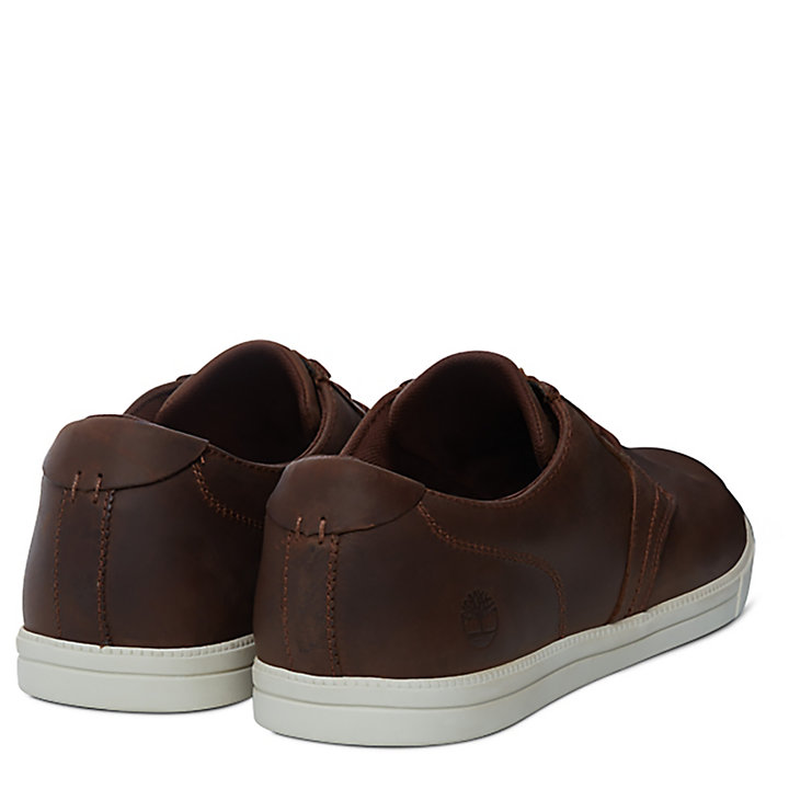 Creo que Abuso humedad Menʼs Fulk Low Profile Oxford | Timberland