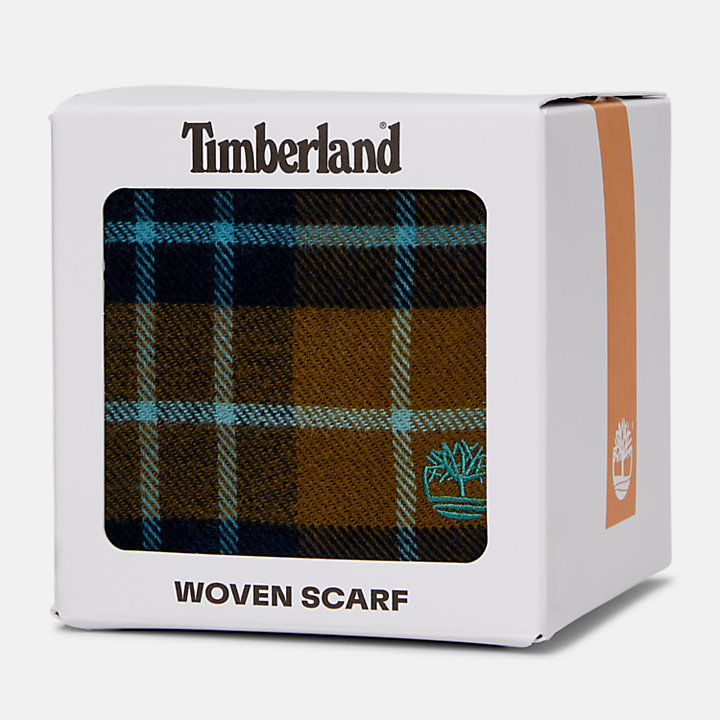Cape Neddick Check Scarf with Gift Box for Men in Green-