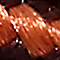 Lacets de rechange pour bottines 120 cm (47 pouces) en marron 