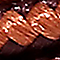 Lacets de rechange pour bottines 160 cm (63 pouces) en marron foncé 
