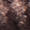 Cordones redondos de repuesto para hikers de 112 cm / 44 in en marrón 