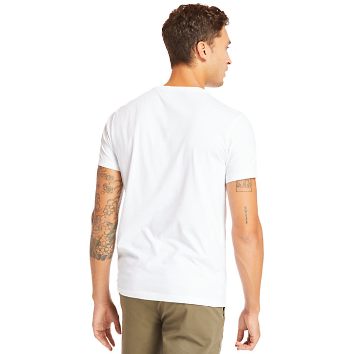 Three-Pack of T-Shirts for Men in Grey/White/Black-