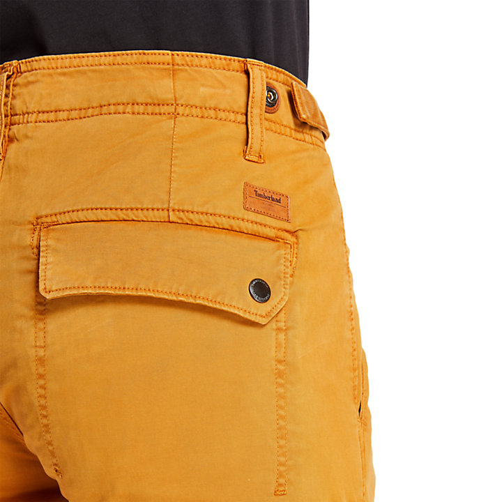Pantalon cargo Squam Lake pour homme en jaune-