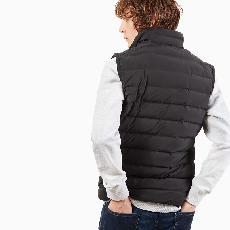 Timberland Bear Head Vest for Men in Black at £170 | love the brands
