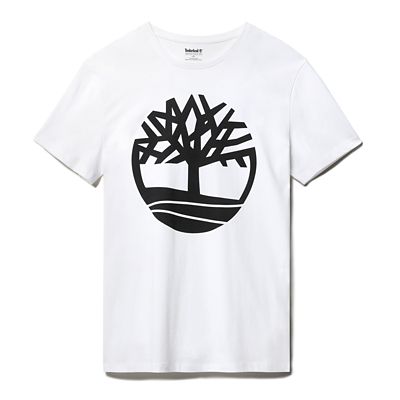 T Shirt Mit Baum Logo Fur Herren In Weiss Timberland