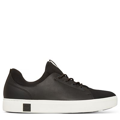 timberland sneakers amherst