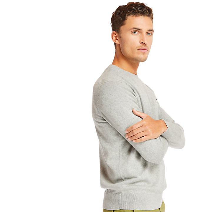 Williams River Cotton Sweater for Men in Grey-