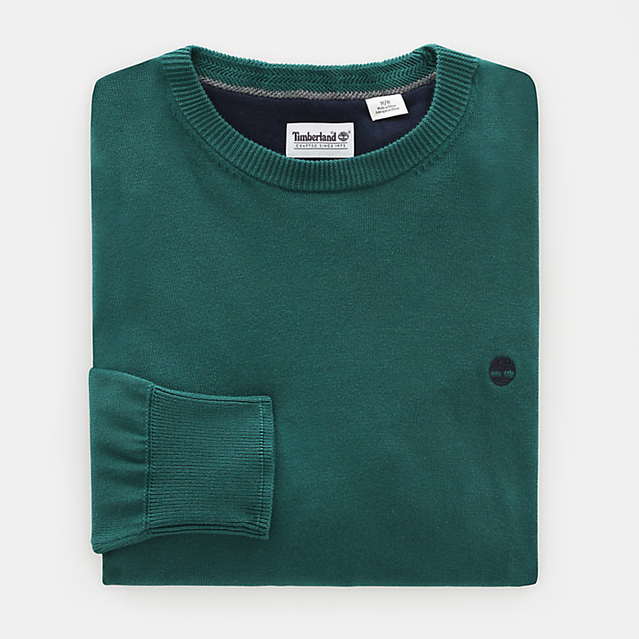Williams River Cotton Sweater for Men in Green-