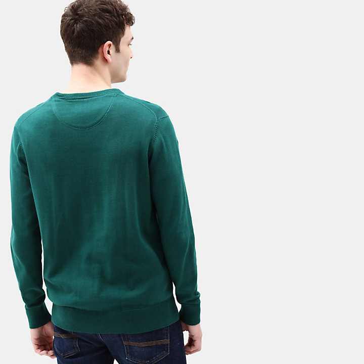 Williams River Cotton Sweater for Men in Green-