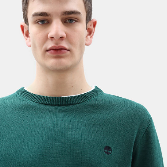 Williams River Cotton Sweater for Men in Green | Timberland