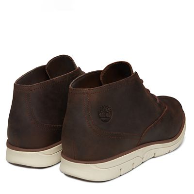 bradstreet plain toe chukka for men in dark brown