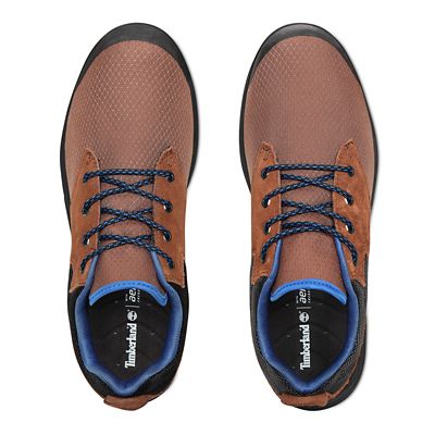 Tuckerman Sneaker for Men in Brown 