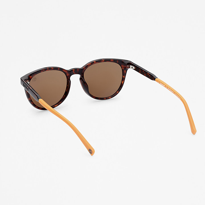 Gafas de sol Redondas Marcolin de Timberland® en marrón-
