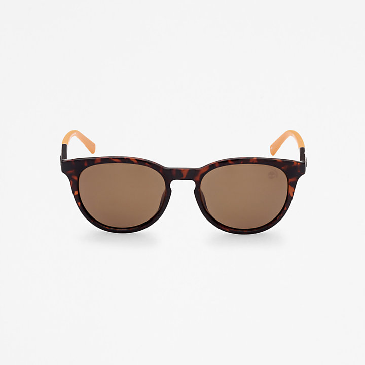 Gafas de sol Redondas Marcolin de Timberland® en marrón-