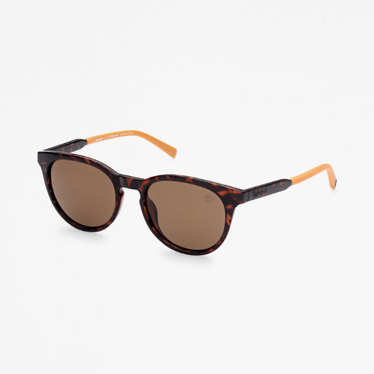 Gafas de sol Redondas Marcolin de Timberland® en marrón | Timberland