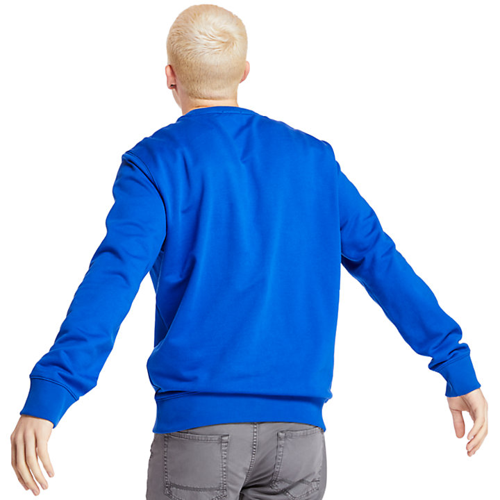 Established 1973 Sweatshirt for Men in Blue-