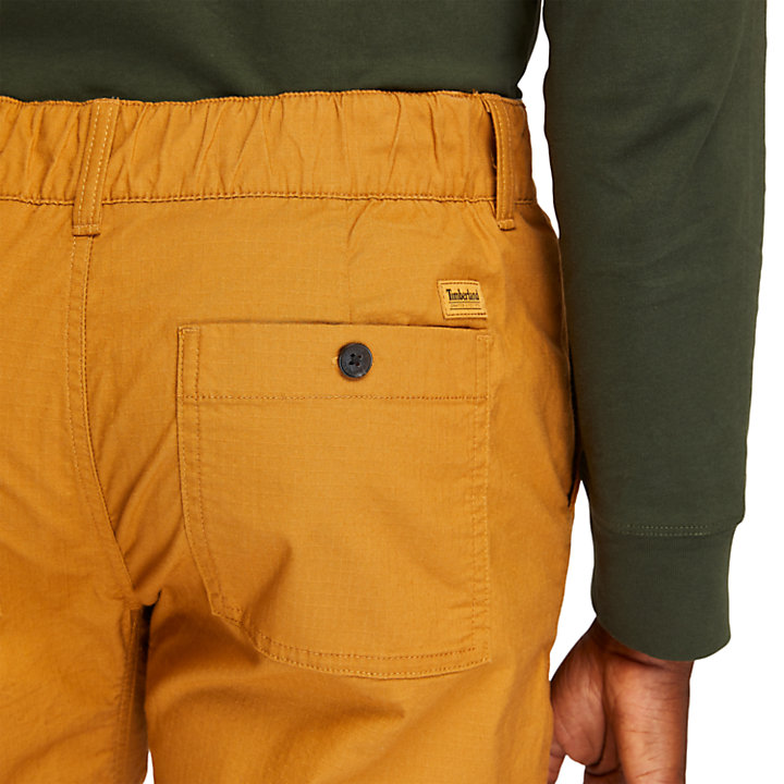 Pantalones de Escalada Antidesgarro para Hombre en amarillo-