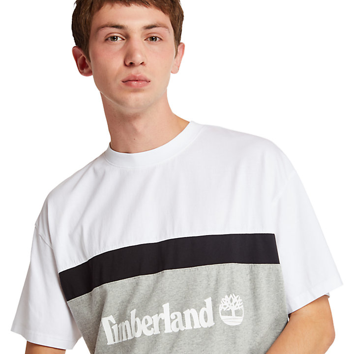 Colourblock Logo T-Shirt for Men in White/Grey-