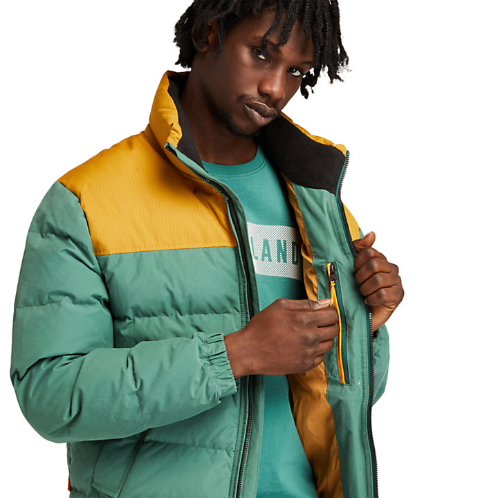 Welch Mountain Puffer Jacket for Men in Green-
