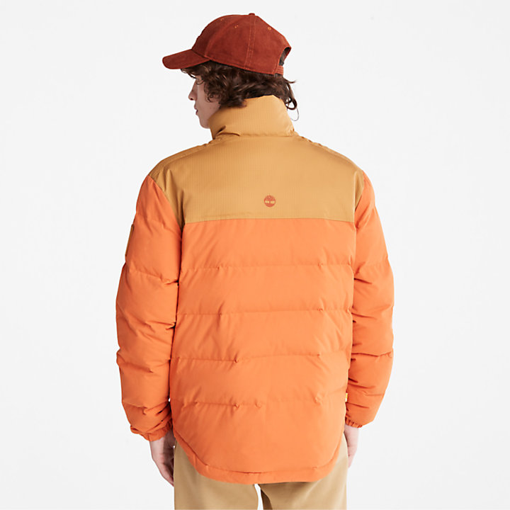 Welch Mountain Puffer Jacket for Men in Orange-