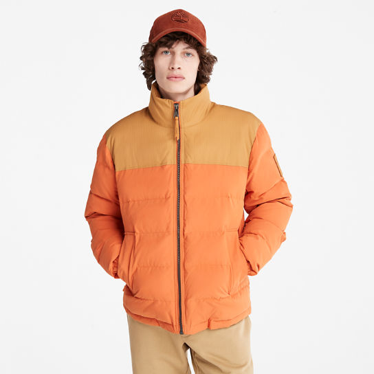 Welch Mountain Puffer Jacket for Men in Orange | Timberland