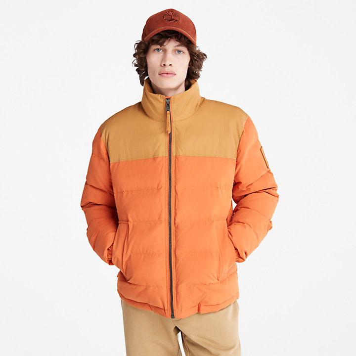 Welch Mountain Puffer Jacket for Men in Orange-