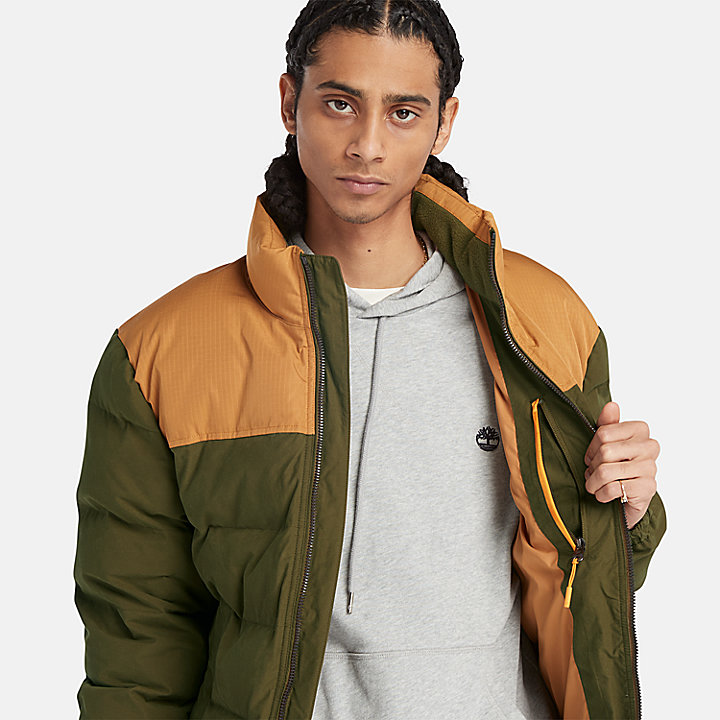 Welch Mountain Puffer Jacket for Men in Green/Yellow