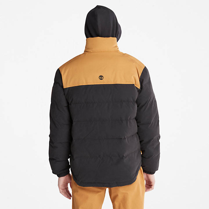 Welch Mountain Puffer Jacket for Men in Black/Yellow-