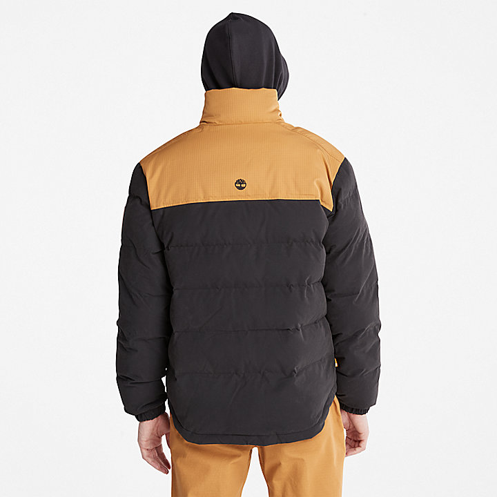 Welch Mountain Puffer Jacket for Men in Black/Yellow