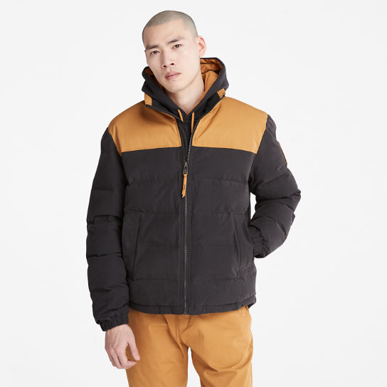Welch Mountain Puffer Jacket for Men in Black/Yellow | Timberland