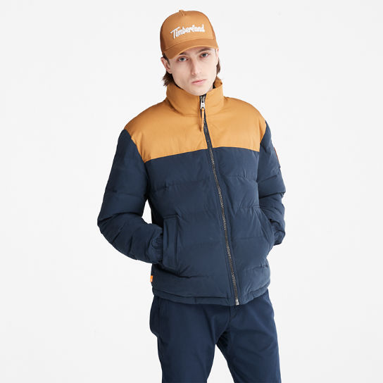 Welch Mountain Puffer Jacket for Men in Navy | Timberland