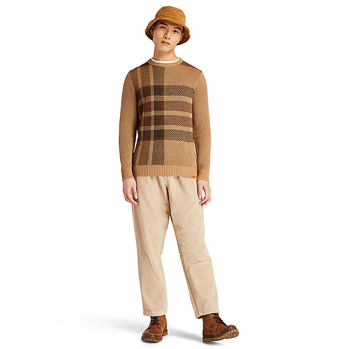 EK+ Intarsia Crewneck Sweater for Men in Brown
