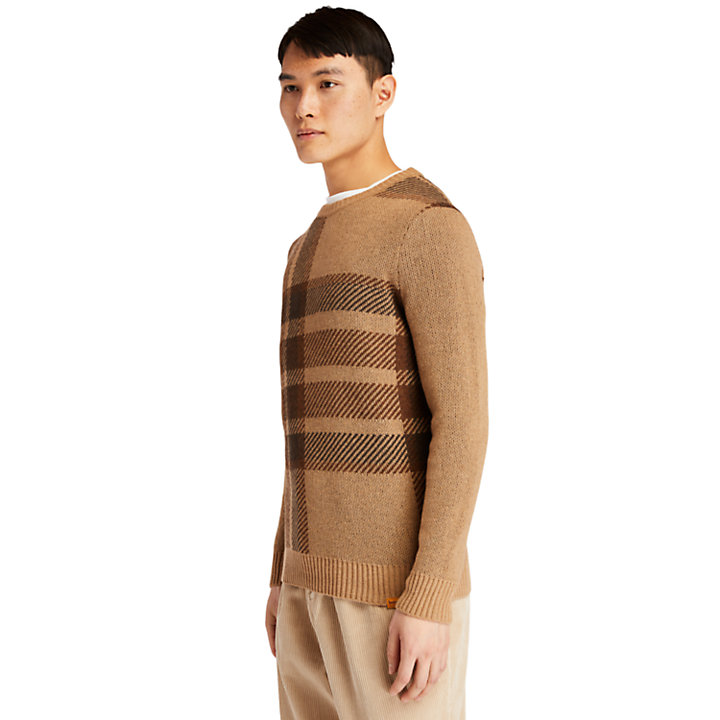 EK+ Intarsia Crewneck Sweater for Men in Brown-