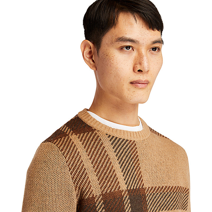 EK+ Intarsia Crewneck Sweater for Men in Brown