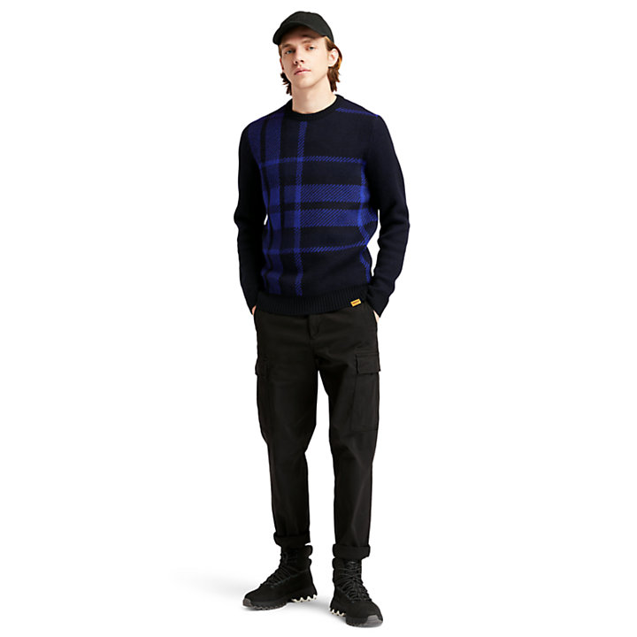 EK+ Intarsia Crewneck Sweater for Men in Blue-