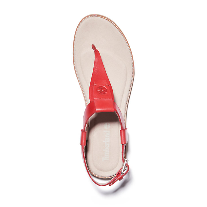 Chicago Riverside Thong Sandal for Women in Red-