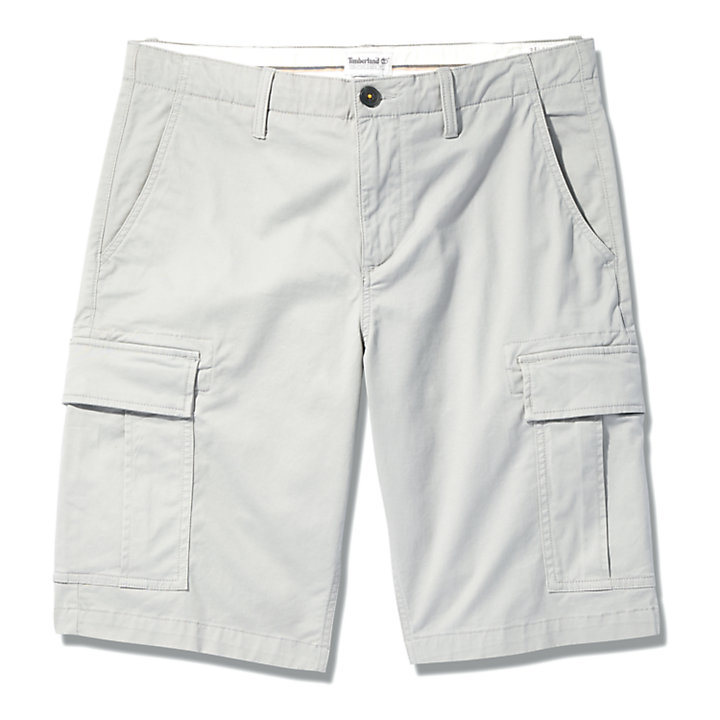 Cargo Shorts for Men in Grey-