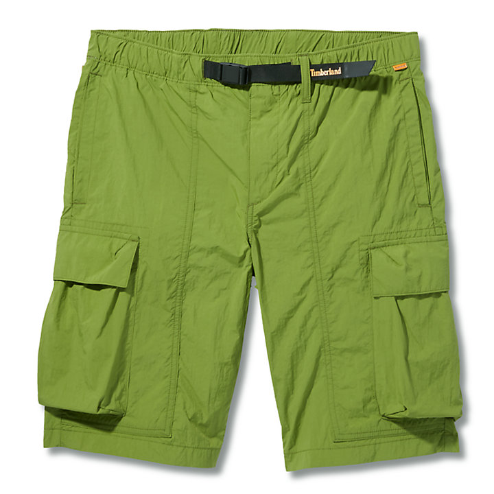 Field Trip Quick-Dry Shorts for Men in Green-