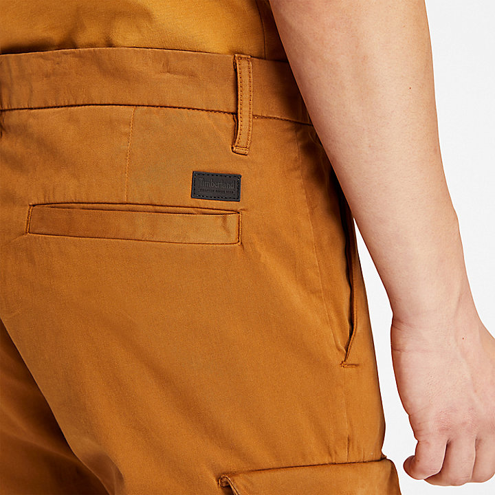 Pantalon cargo ultra-extensible pour homme en marron