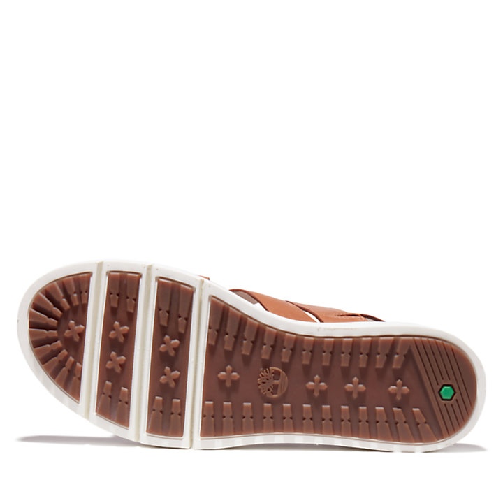 Safari Dawn Backstrap Sandal for Women in Brown-