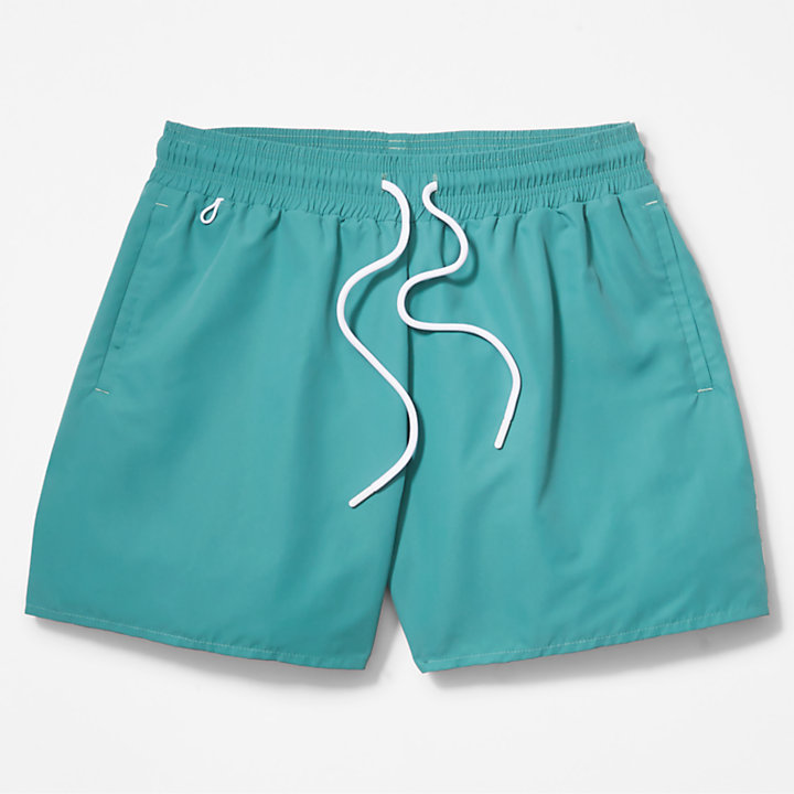 Sunapee Lake Swim Shorts for Men in Green-