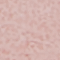 Bottines 6-Inch Pokey Pine pour tout-petit en rose clair 