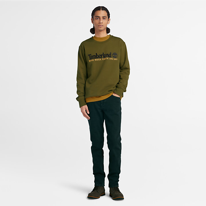 Wind, Water, Earth, and Sky™ Sweatshirt for Men in Green-