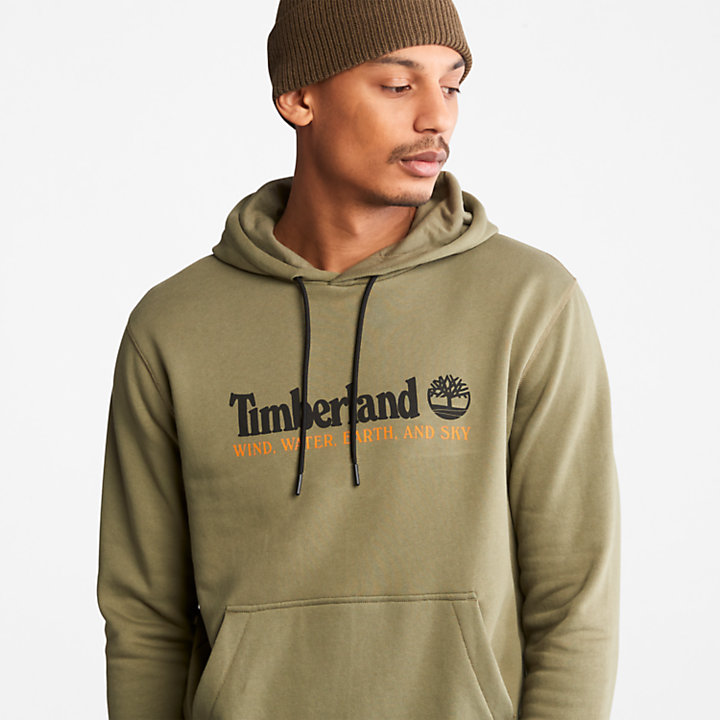 Wind, Water, Earth, and Sky™ Hoodie for Men in Green-
